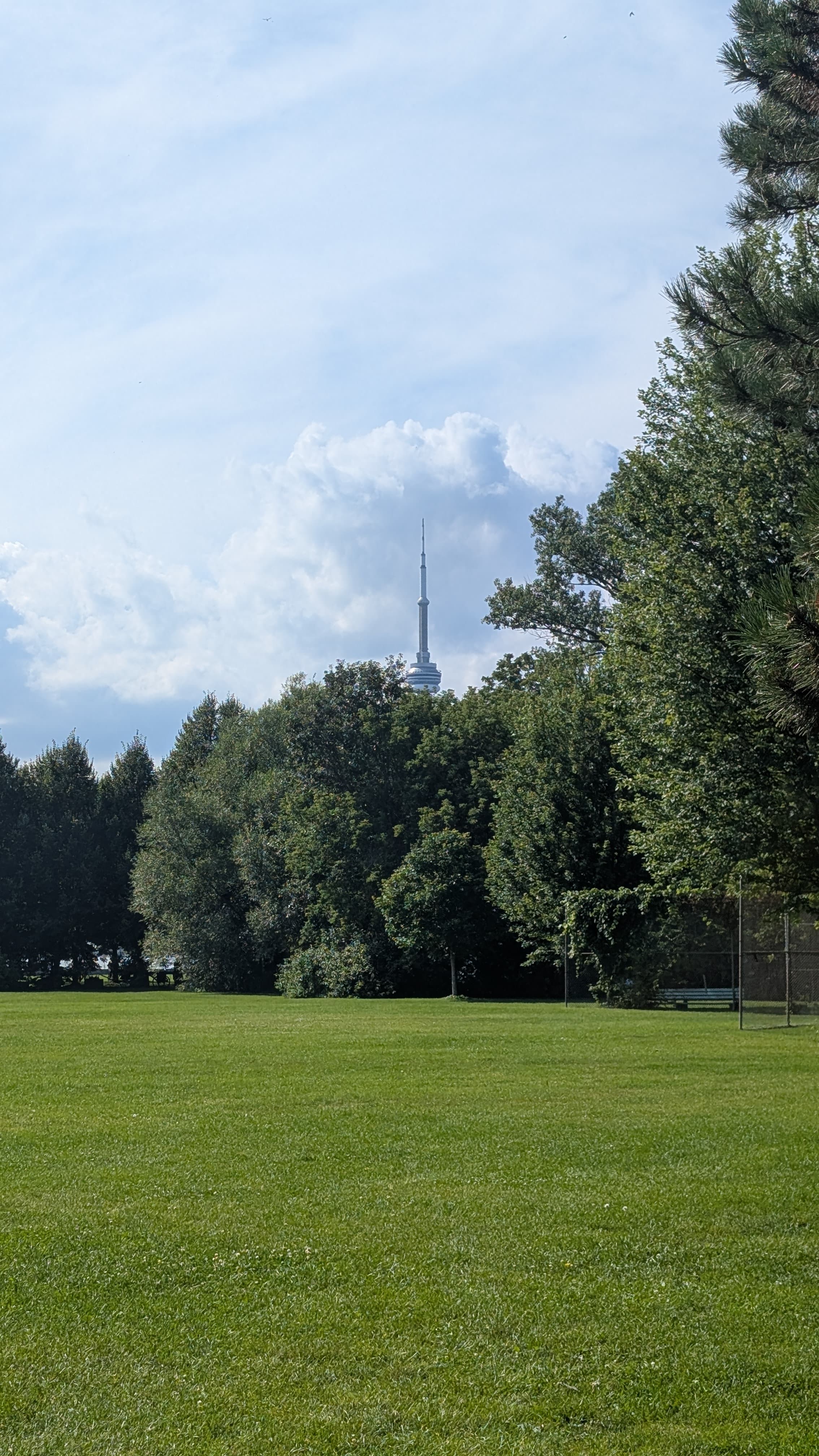 A communications tower rising behind a treeline at the edge of a park